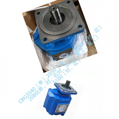 CBG2 gear oil pump